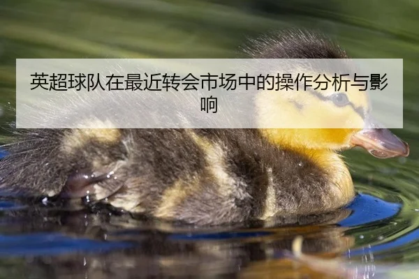 英超球队在最近转会市场中的操作分析与影响
